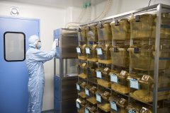 化學實驗室建設(shè)如何設(shè)計以后使用才保證安全